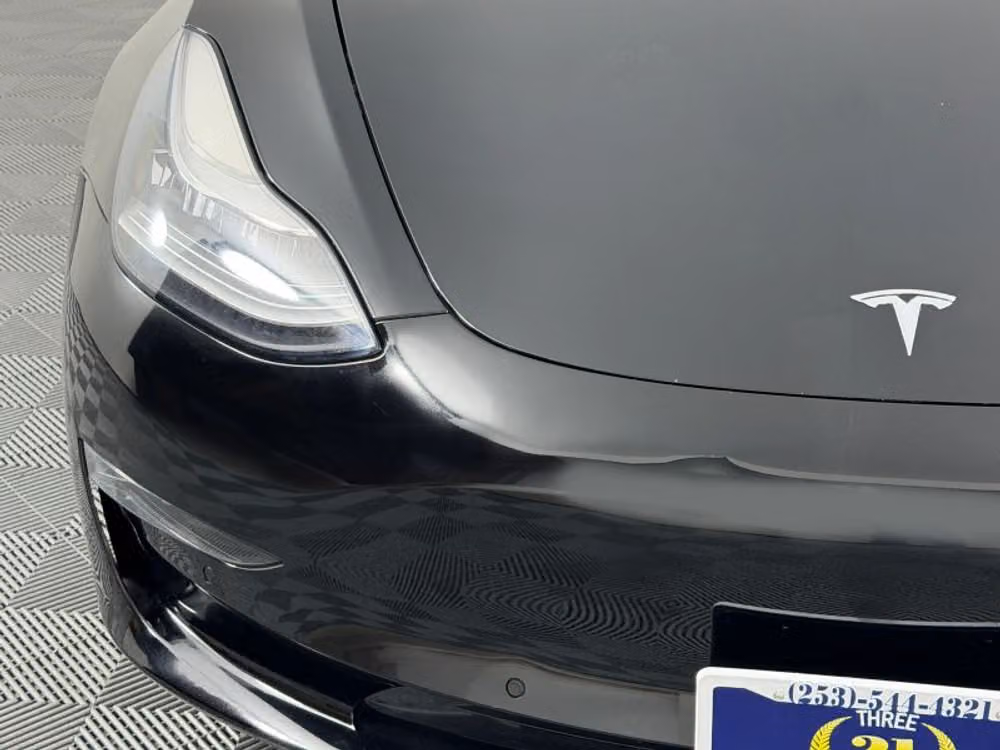 2019 Tesla Model 3 Standard Range Plus Image 3