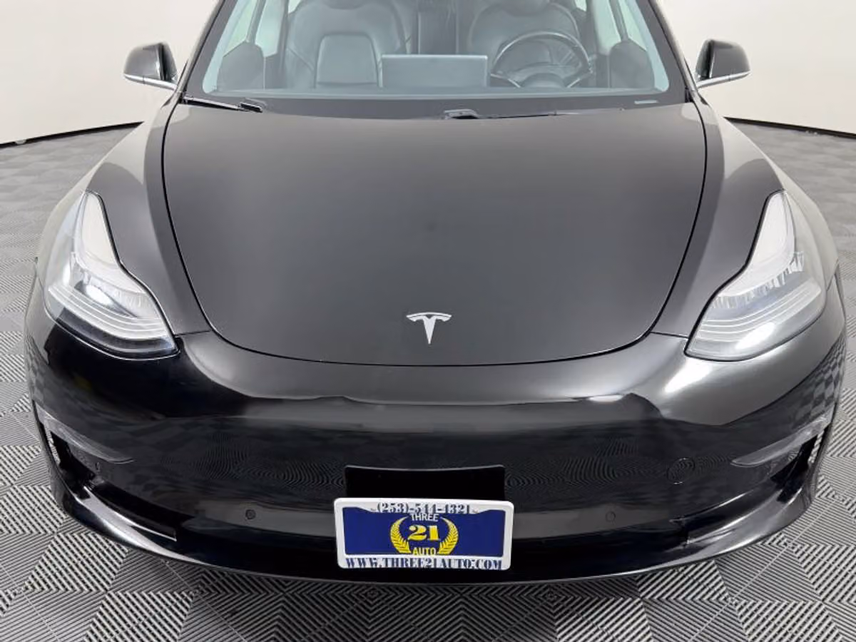2019 Tesla Model 3 Standard Range Plus Image 2