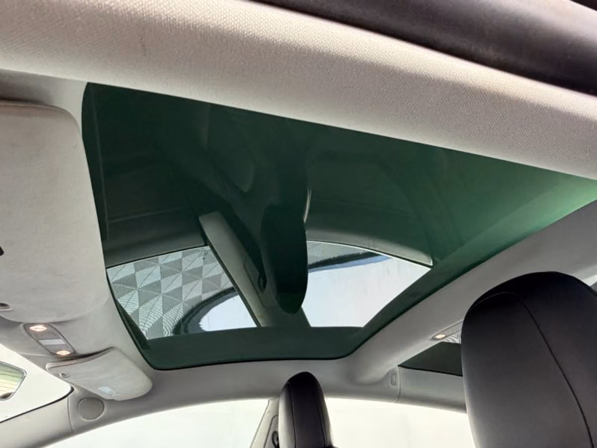 2019 Tesla Model 3 Standard Range Plus Image 22