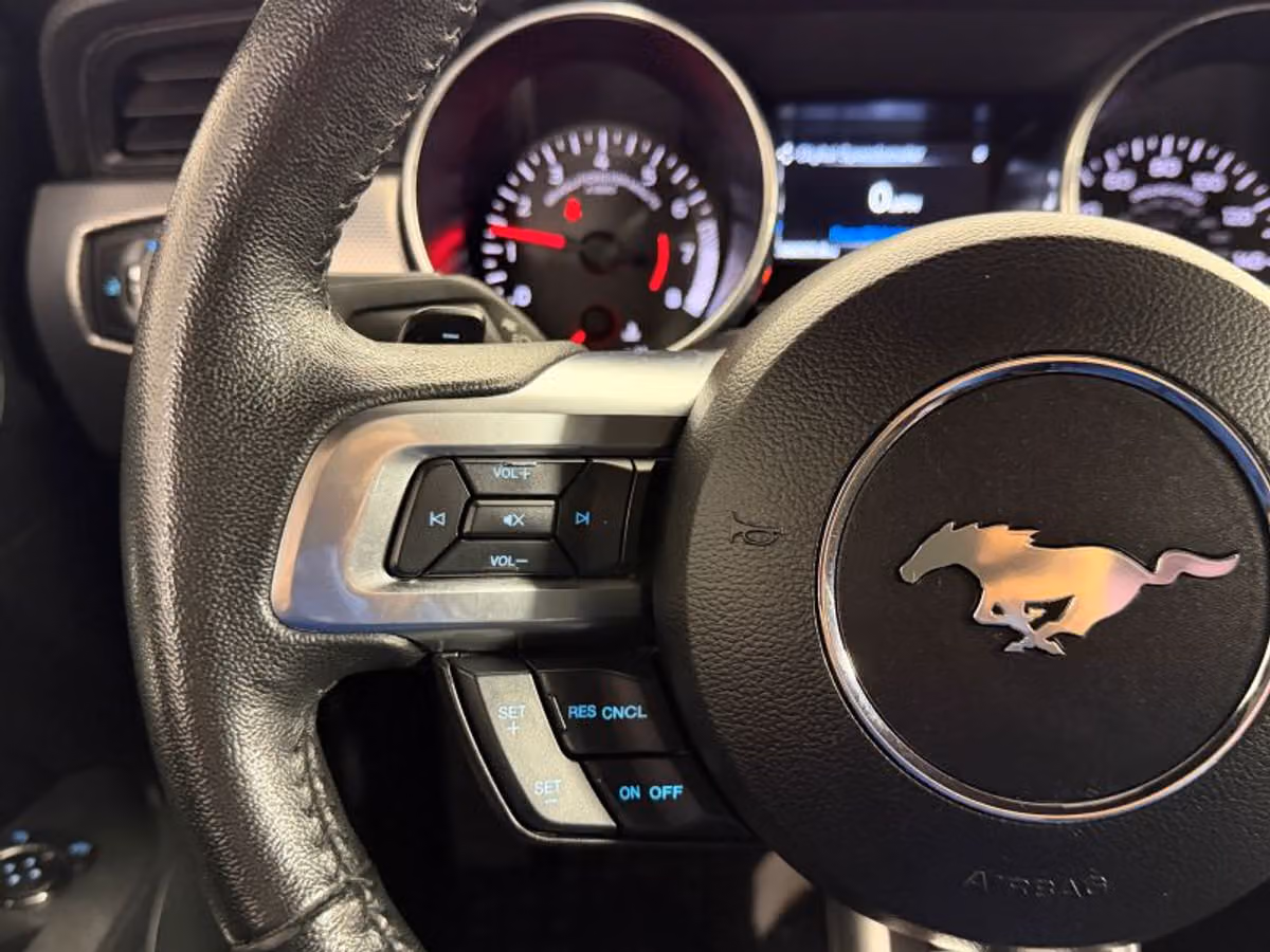 2020 Ford Mustang EcoBoost Roush Image 20