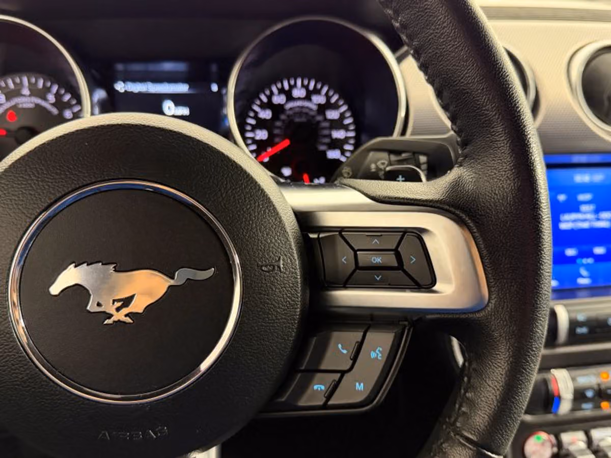 2020 Ford Mustang EcoBoost Roush Image 21