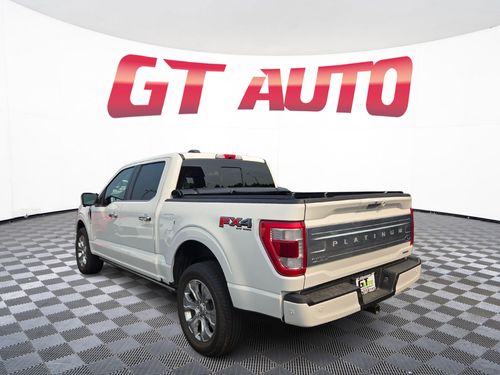 2021 Ford F-150 Platinum SuperCrew Lower Image 2