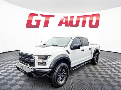 2018 Ford F-150 Raptor Lower Image 1