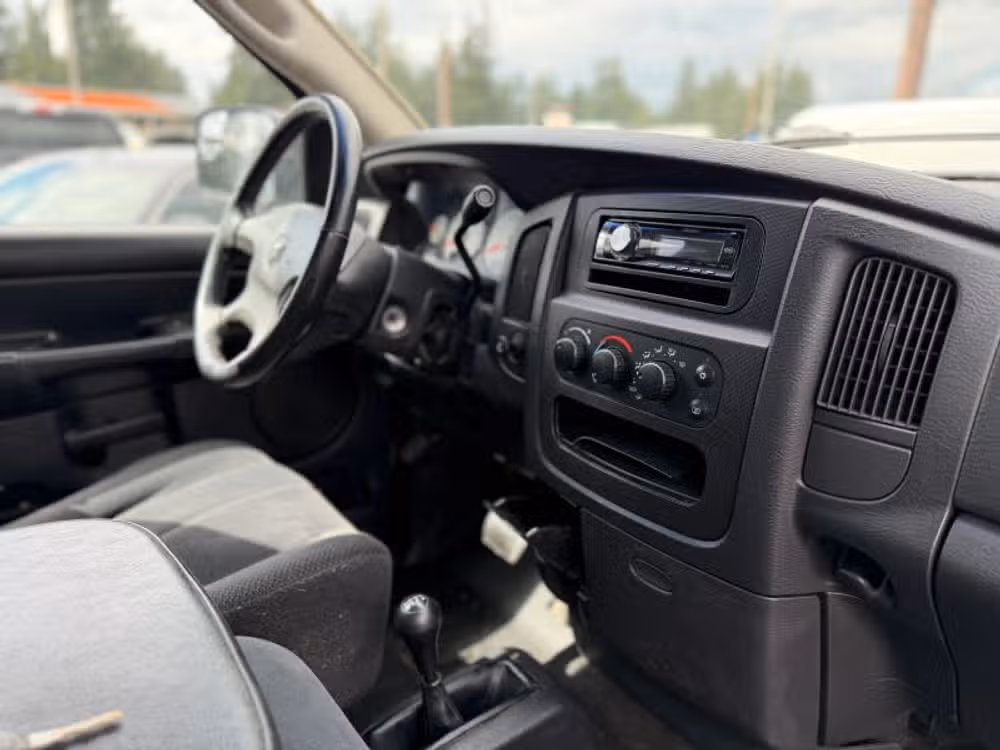 2002 Dodge Ram 1500 Pickup SLT - Photo 10