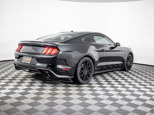 2019 Ford Mustang EcoBoost Lower Image 1