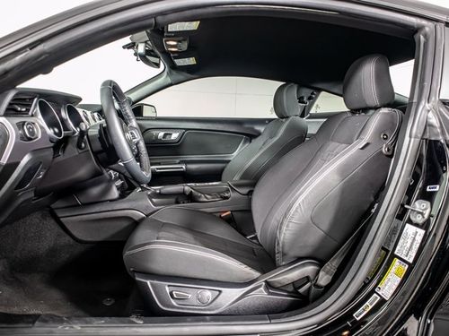 2019 Ford Mustang EcoBoost Lower Image 2