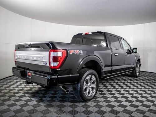 2022 Ford F-150 Platinum SuperCrew Lower Image 1