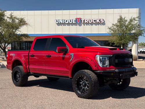 2021 Ford F-150 Platinum SuperCrew Lower Image 1