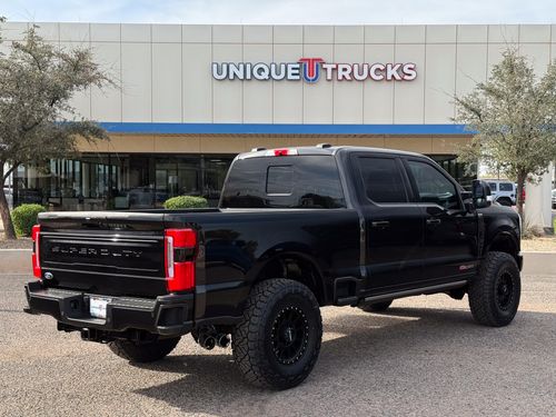 2025 Ford F-350 Super Duty Platinum Lower Image 3