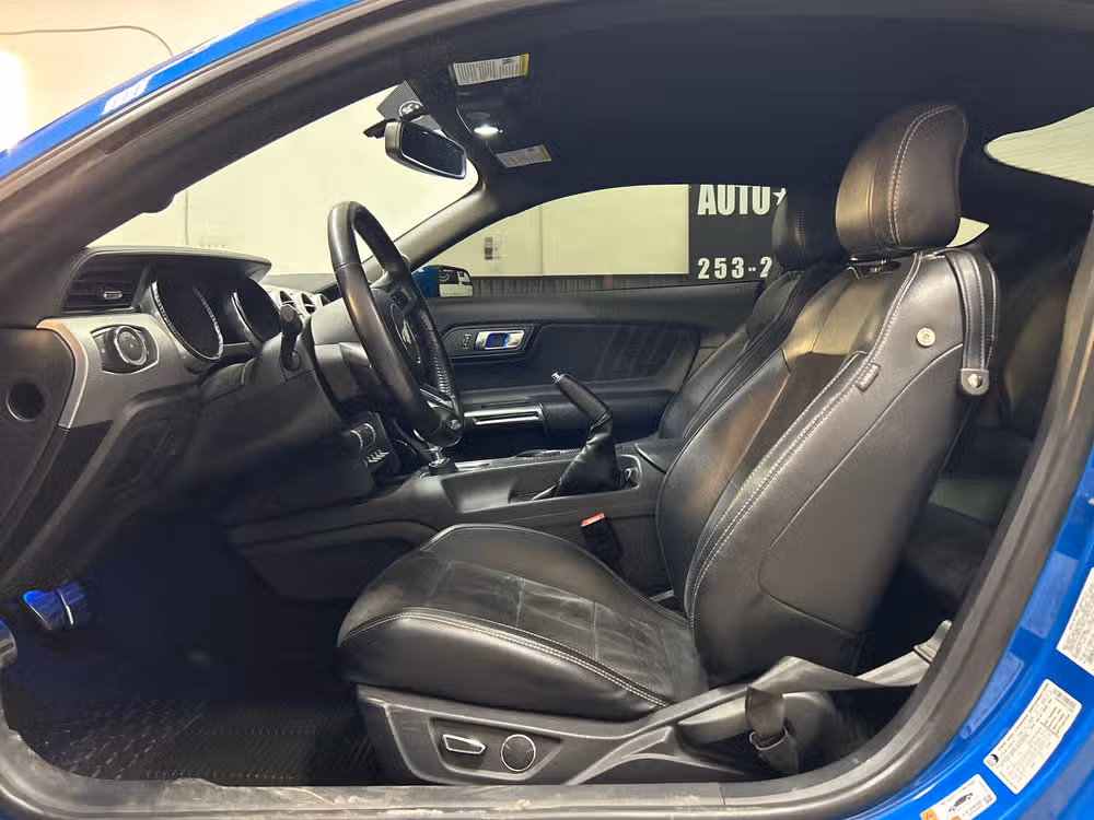 2019 Ford Mustang GT Premium Image 7