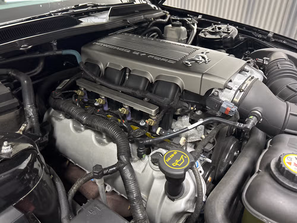 2009 Ford Mustang GT Premium Image 9