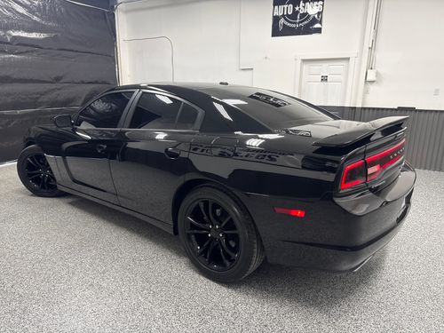2013 Dodge Charger R/T Lower Image 1