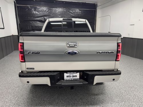 2014 Ford F-150 Platinum SuperCrew Lower Image 2