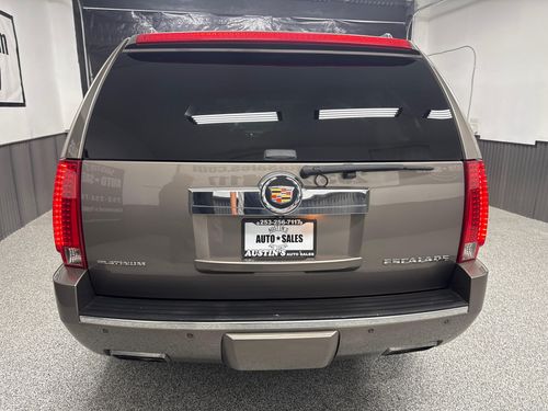 2014 Cadillac Escalade Platinum Lower Image 2
