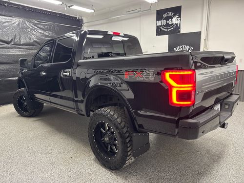 2020 Ford F-150 Platinum SuperCrew Lower Image 1