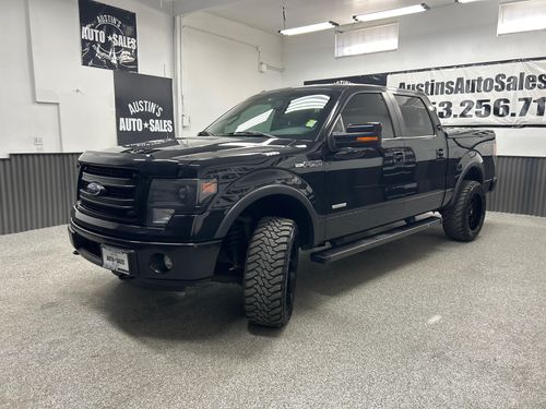 2014 Ford F-150 FX4 Lower Image 1