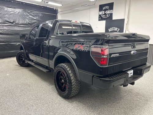 2014 Ford F-150 FX4 Lower Image 2