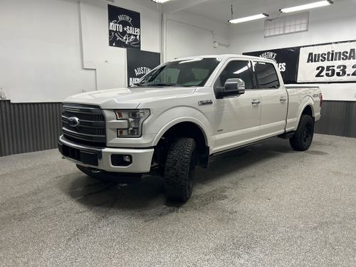 2015 Ford F-150 Platinum Lower Image 1