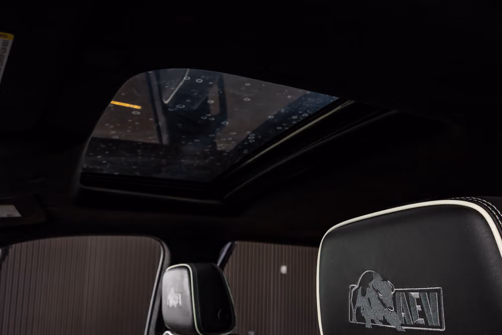 2025 GMC Sierra 2500HD AT4X Crew Cab Image 31