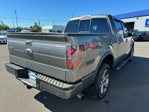 2013 Ford F-150 FX4 SuperCrew Lower Image 3