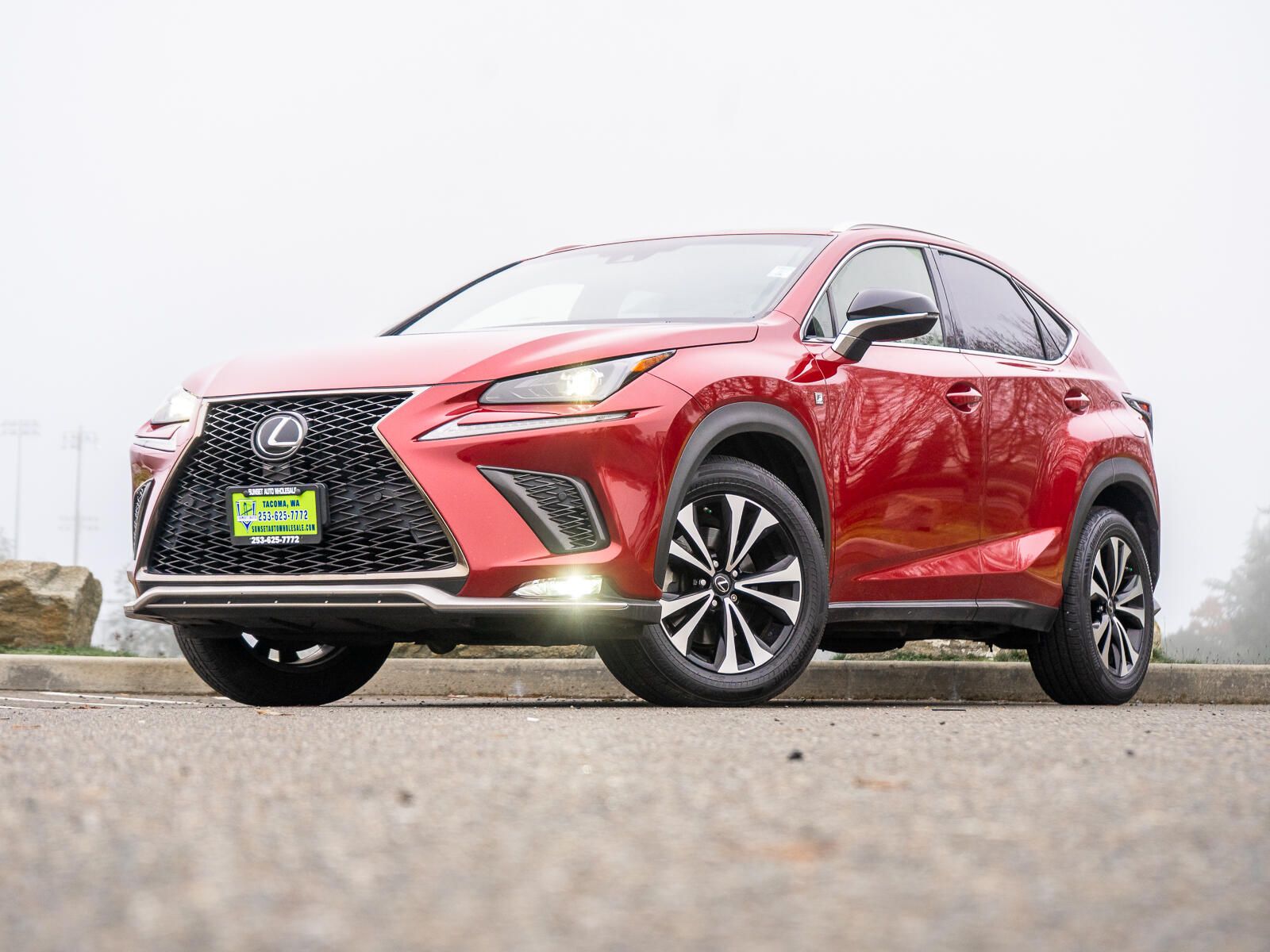 2018 Lexus NX 300 F SPORT's photo
