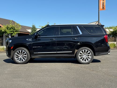 2021 GMC Yukon Denali Lower Image 3