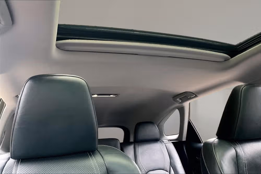 2019 Lexus RX 350L Base Image 20
