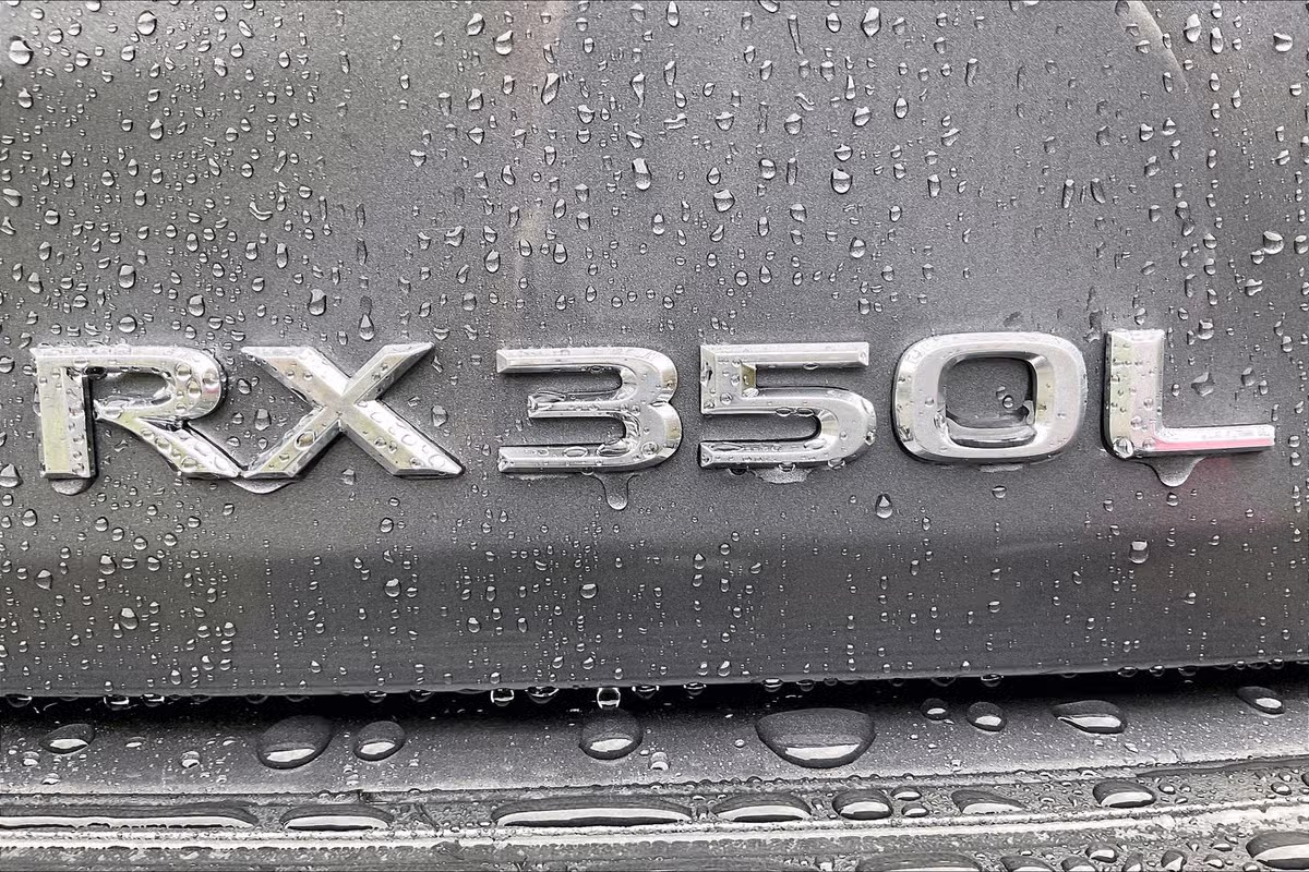 2019 Lexus RX 350L Base Image 8
