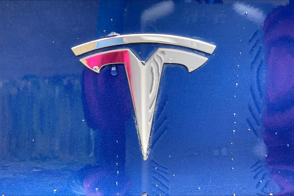 2019 TESLA MODEL 3 LONG RANGE Image 8