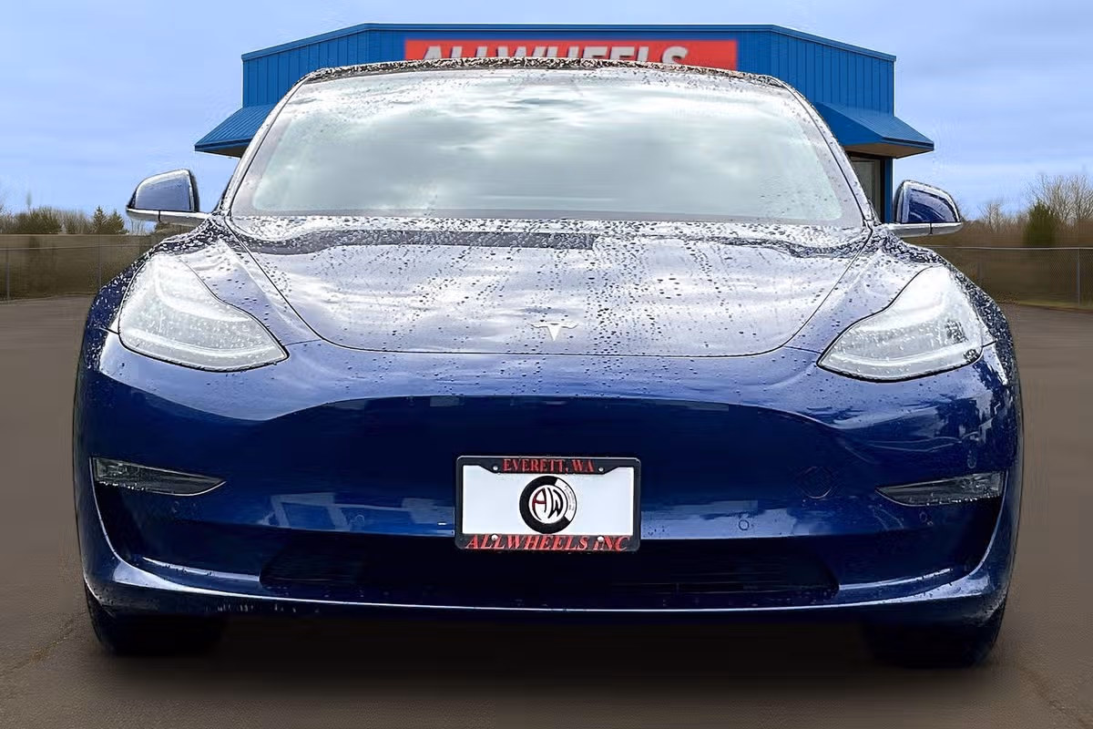 2019 TESLA MODEL 3 LONG RANGE Image 3