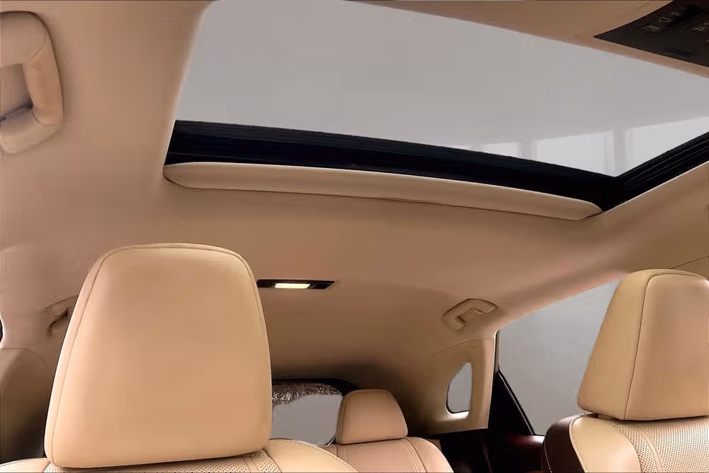2017 Lexus RX 350 Base Image 20