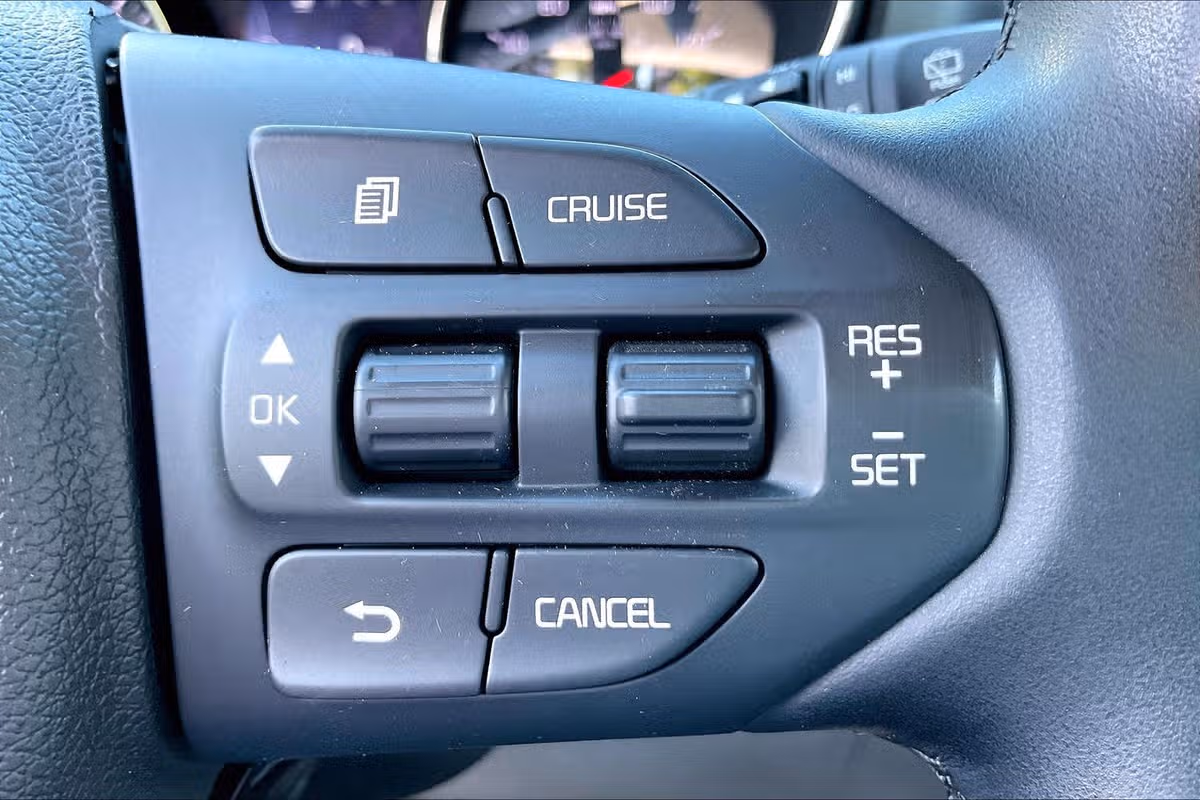 2017 Kia Sedona LX Passenger Image 16