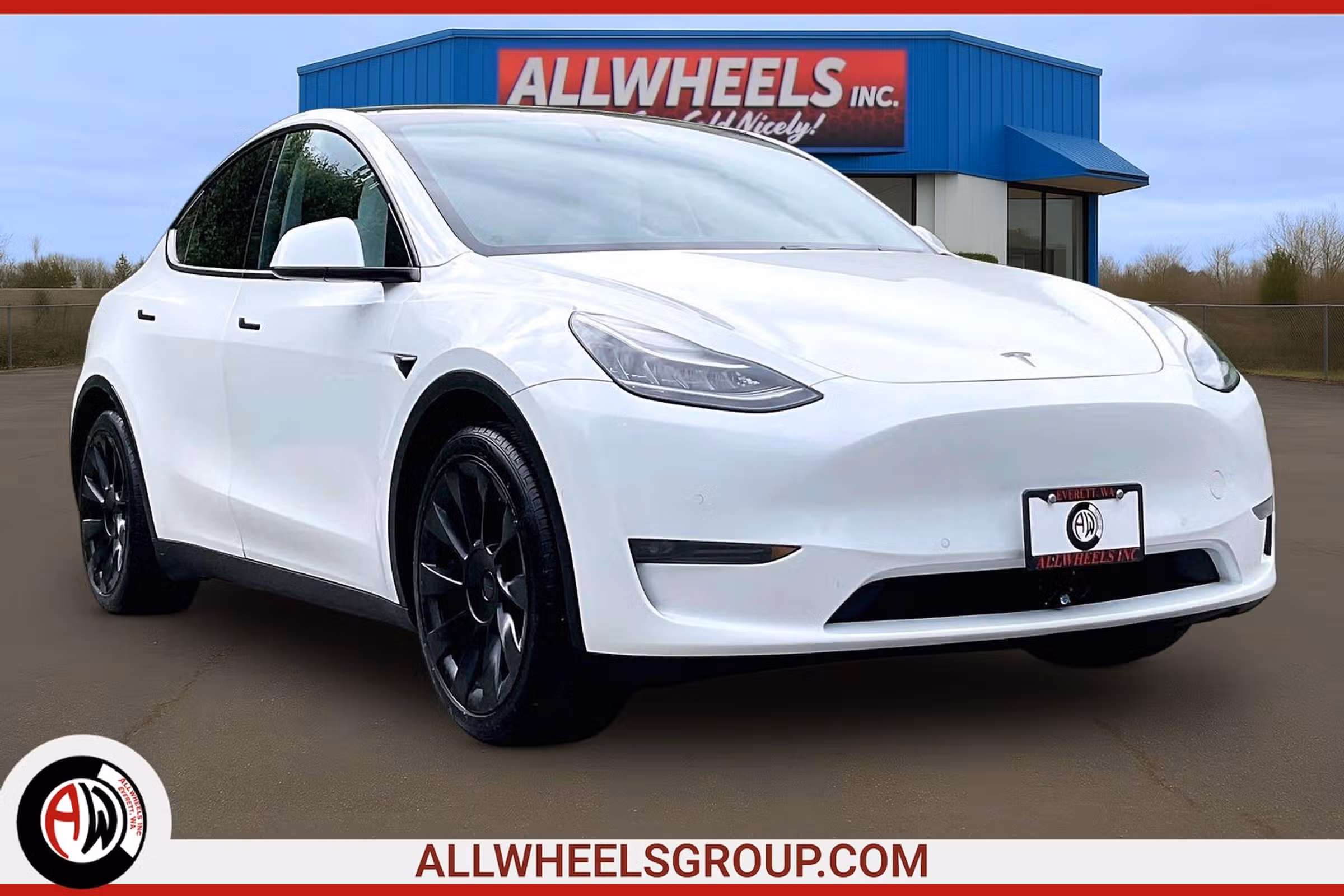 2020 Tesla Model Y Long Range Image 1