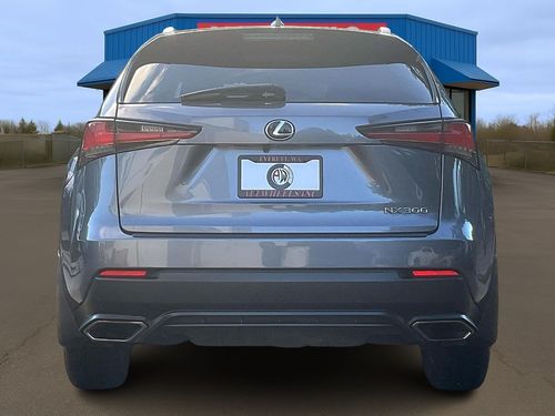 2021 Lexus NX 300 Base Crossover Lower Image 2