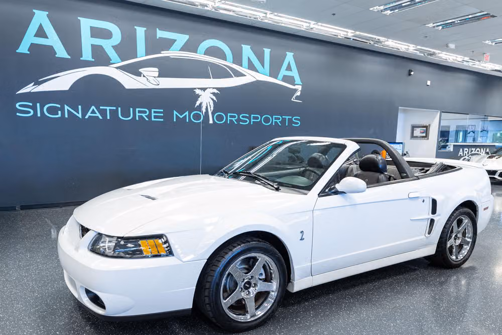 2004 Ford Mustang SVT Cobra Base Image 1