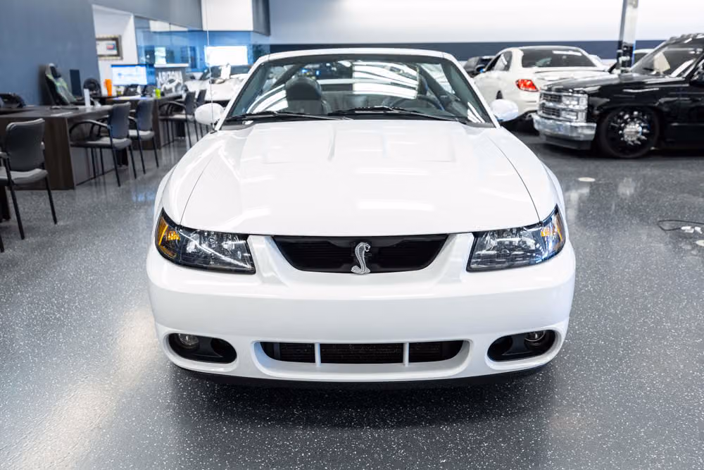 2004 Ford Mustang SVT Cobra Base Image 3