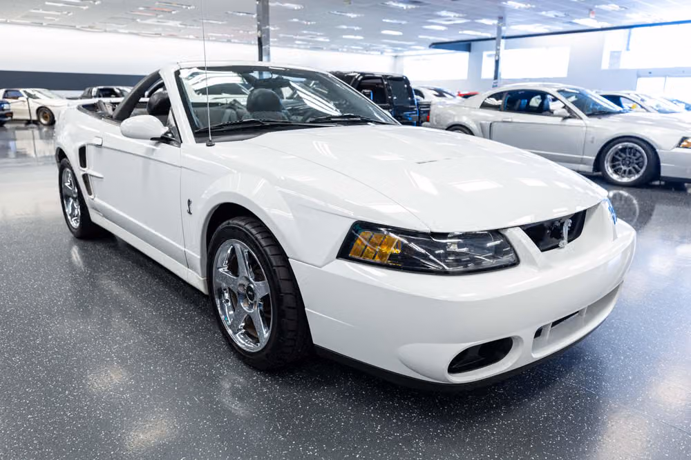2004 Ford Mustang SVT Cobra Base Image 4