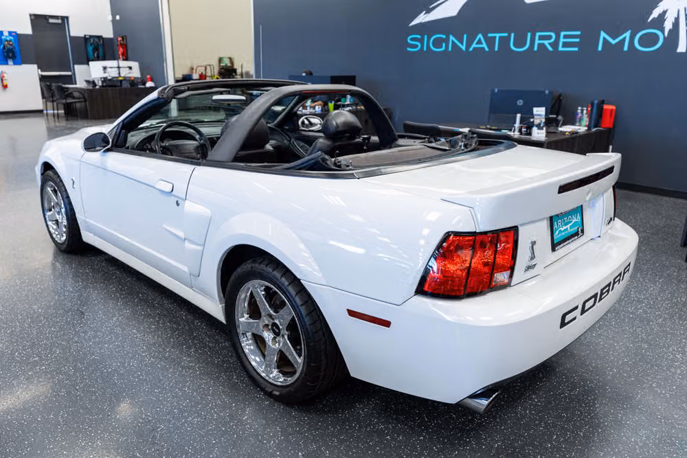 2004 Ford Mustang SVT Cobra Base Image 8