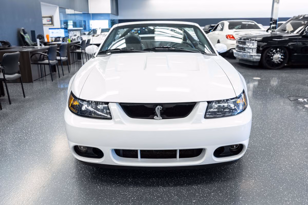 2004 Ford Mustang SVT Cobra Base Image 3