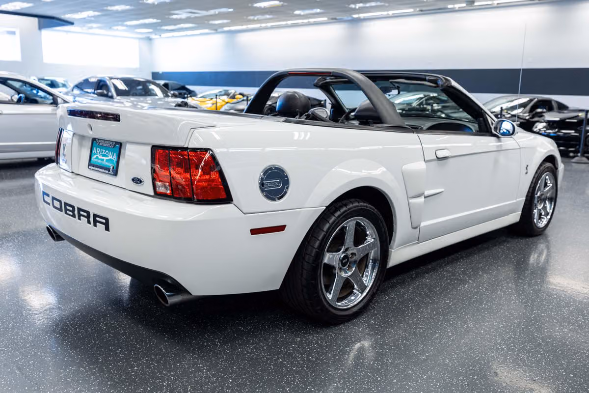 2004 Ford Mustang SVT Cobra Base Image 5