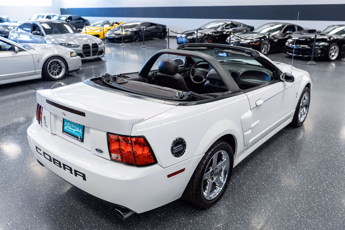 2004 Ford Mustang SVT Cobra Base Image 6