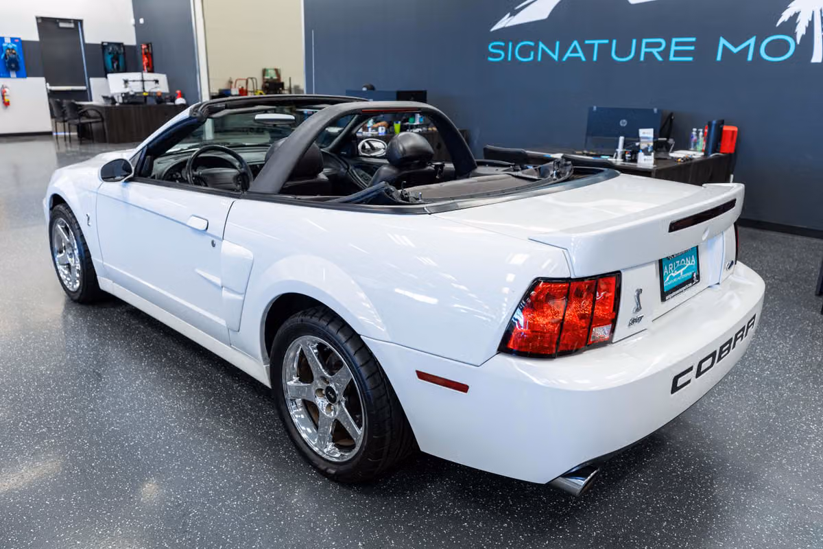 2004 Ford Mustang SVT Cobra Base Image 8