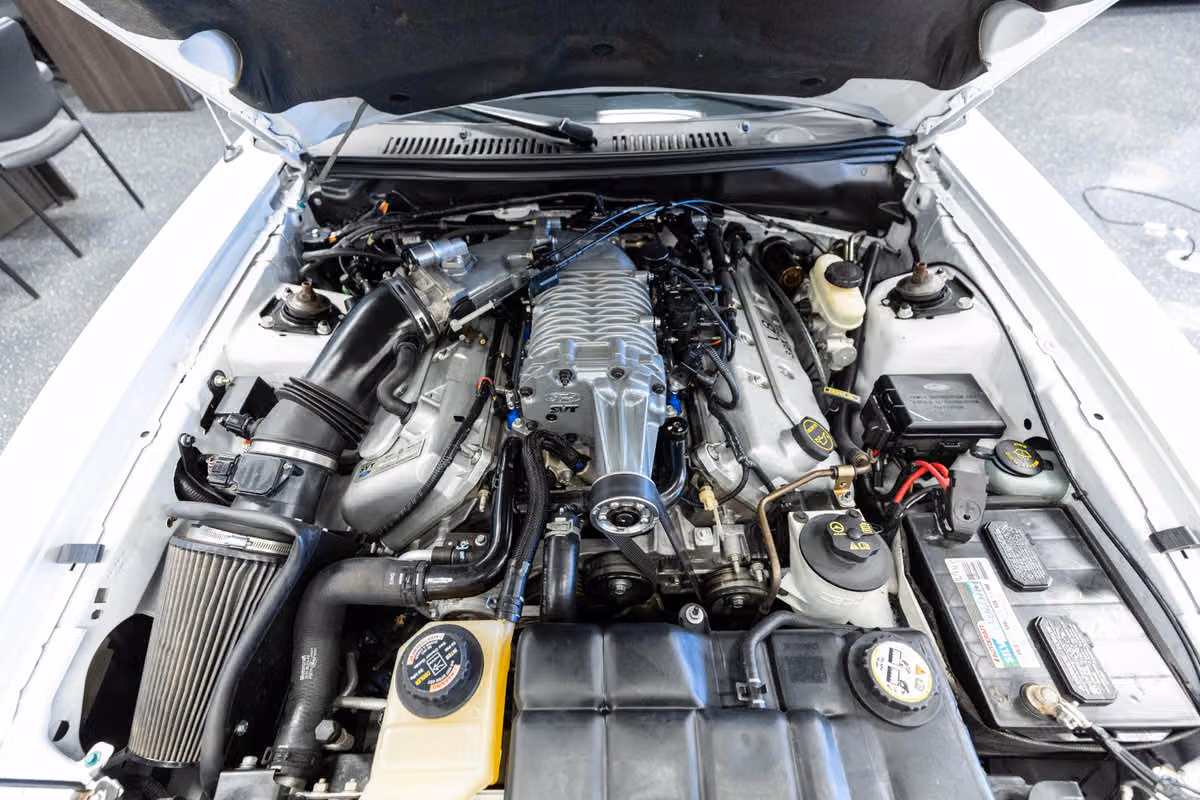 2004 Ford Mustang SVT Cobra Base Image 17