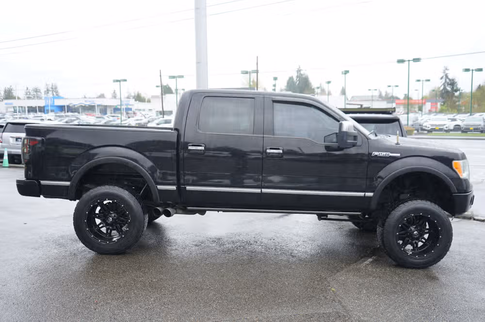 2009 Ford F-150 PLATINUM PICKUP 4D 5 SuperCrew Image 6