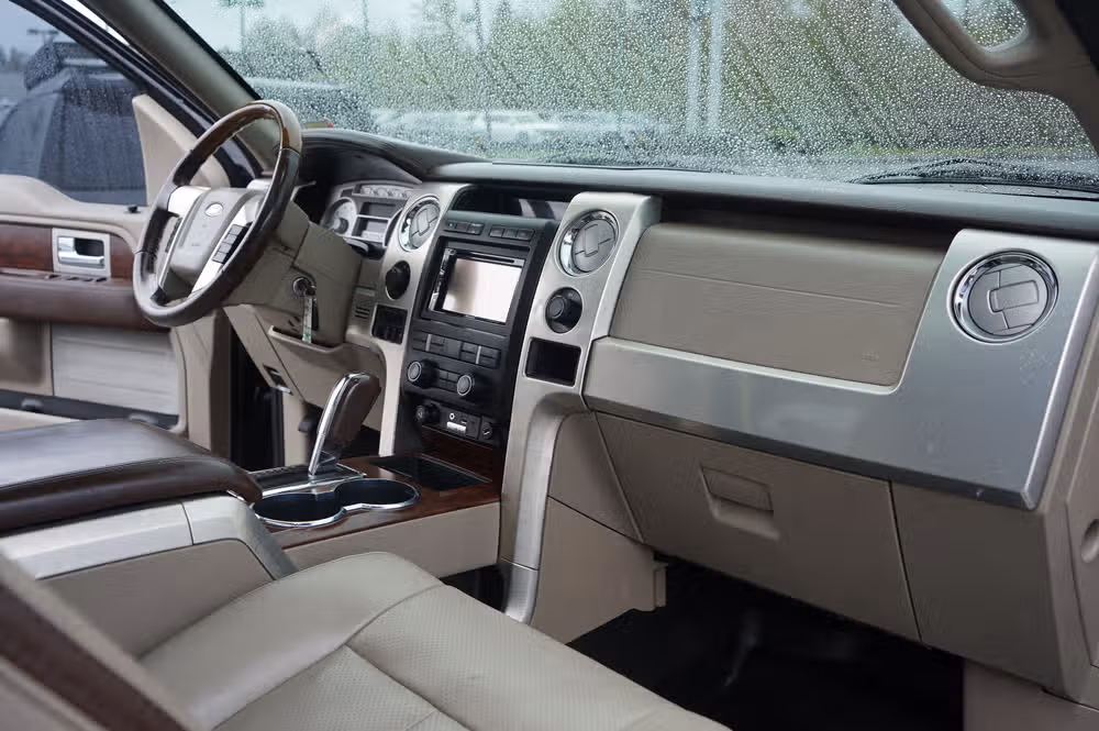 2009 Ford F-150 PLATINUM PICKUP 4D 5 SuperCrew Image 19