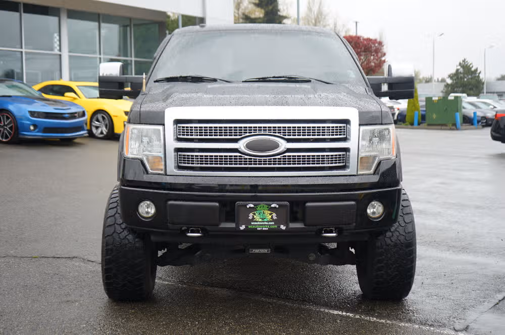 2009 Ford F-150 PLATINUM PICKUP 4D 5 SuperCrew Image 8
