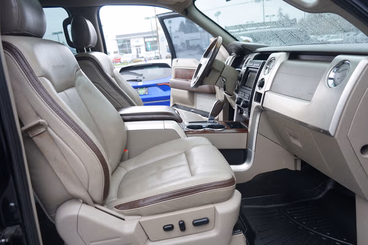 2009 Ford F-150 PLATINUM PICKUP 4D 5 SuperCrew Image 18