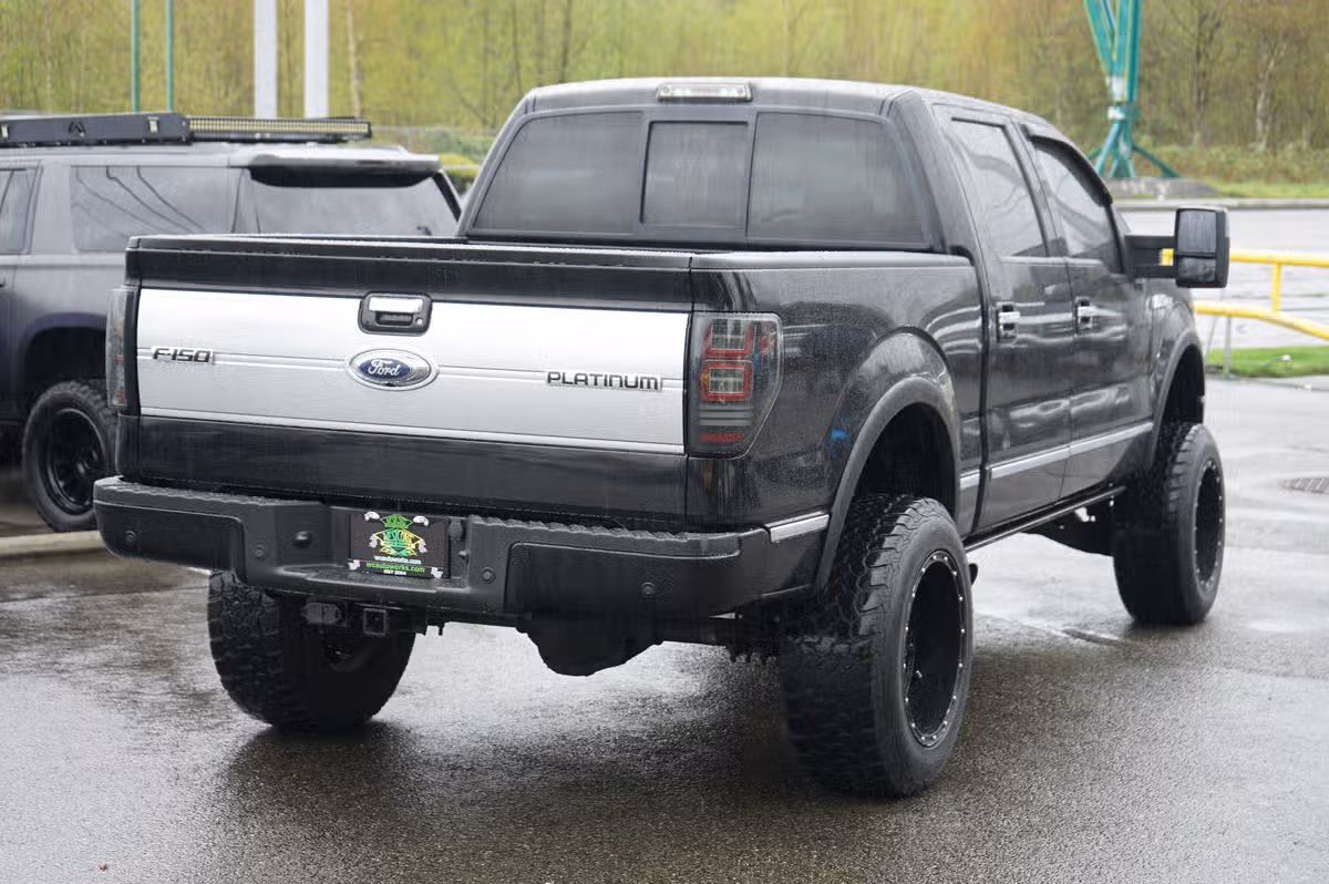 2009 Ford F-150 PLATINUM PICKUP 4D 5 SuperCrew Image 5