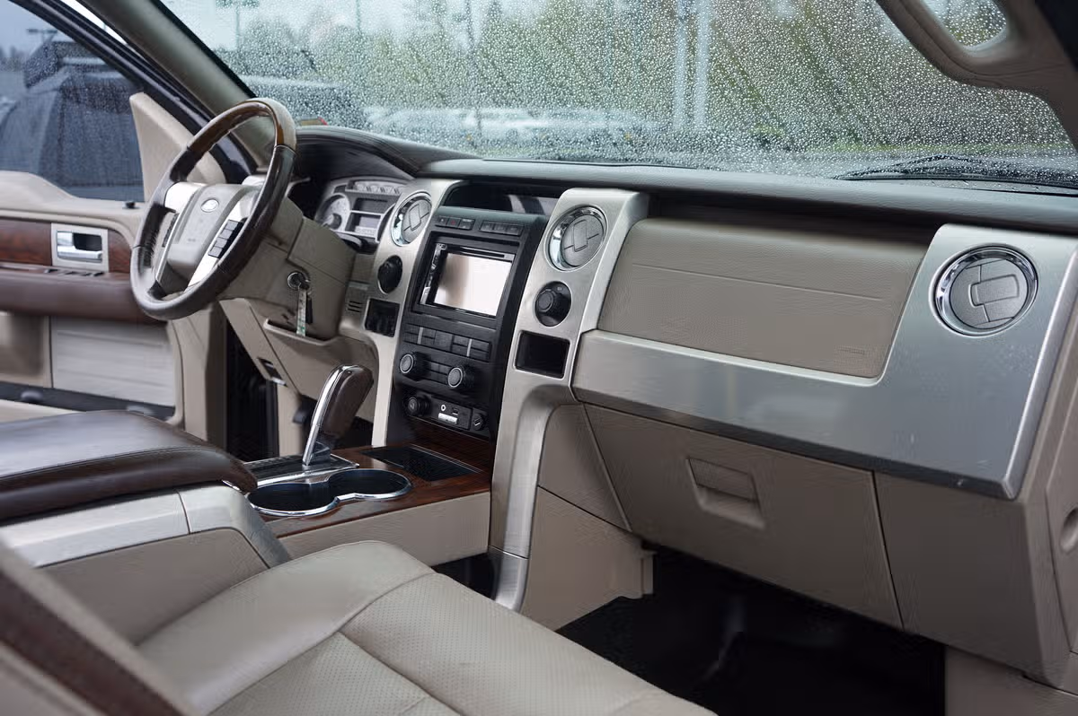 2009 Ford F-150 PLATINUM PICKUP 4D 5 SuperCrew Image 19