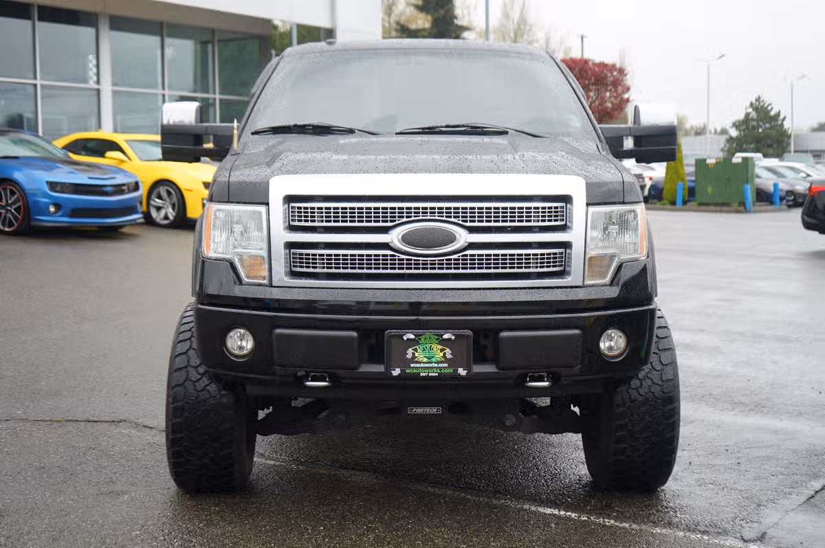 2009 Ford F-150 PLATINUM PICKUP 4D 5 SuperCrew Image 8